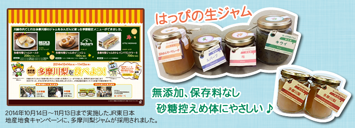 はっぴの生ジャム 無添加、保存料なし、砂糖控えめ体にやさしい